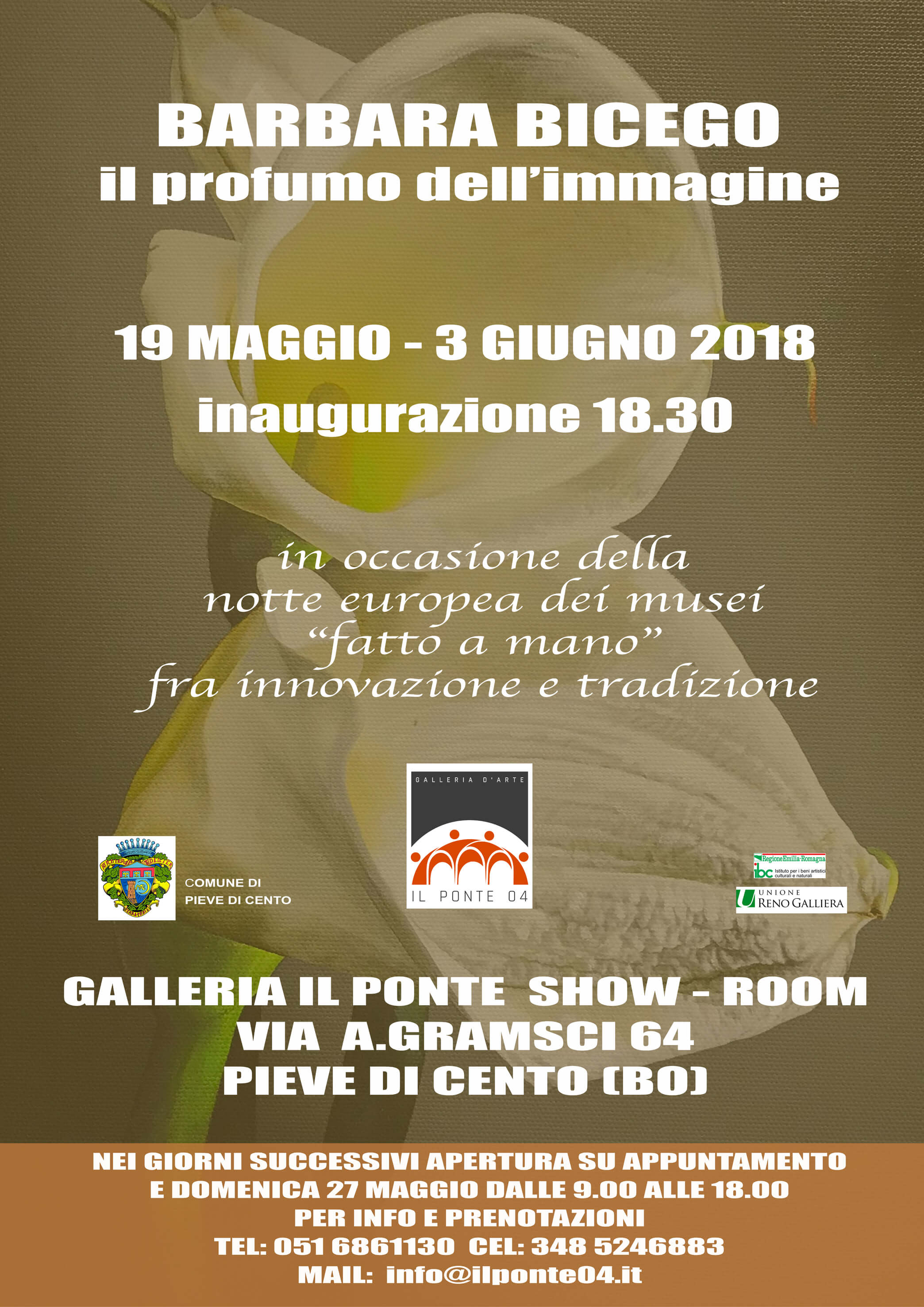 Barbara Bicego il profumo dell’immagine
