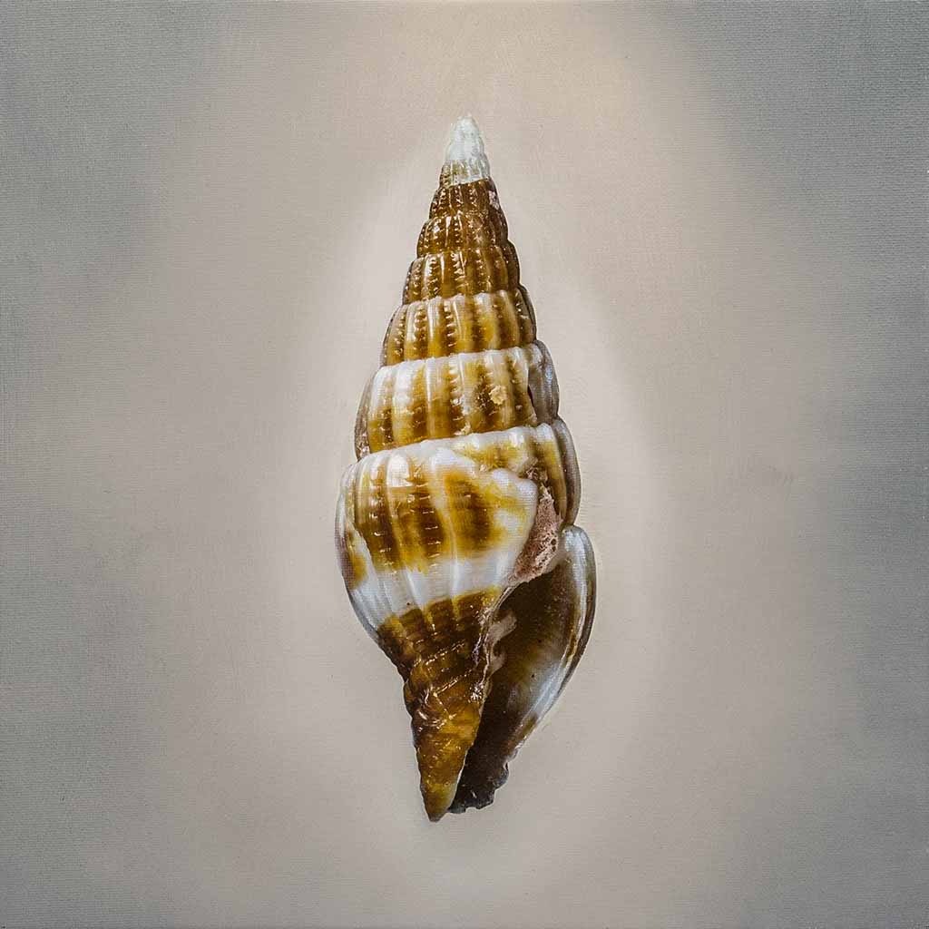 12_02, mixed media on canvas, cm 30x30, 2018