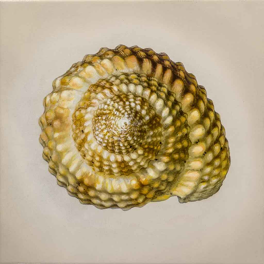 12_05, mixed media on canvas, cm 30x30, 2018