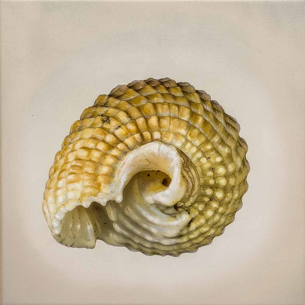 12_06, mixed media on canvas, cm 30x30, 2018